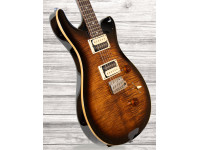 PRS SE Custom 24 BG PRS SE Custom 24 BG